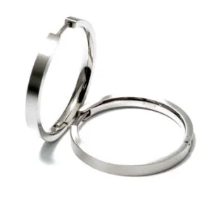 0517-01 Boccia Titanium Earrings