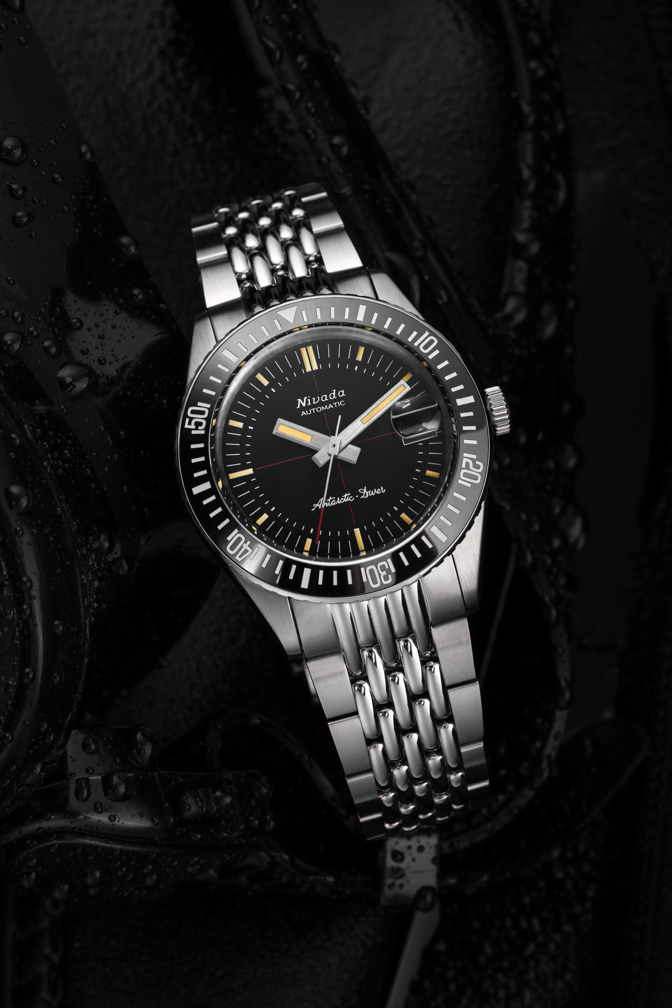 Antarctic Diver