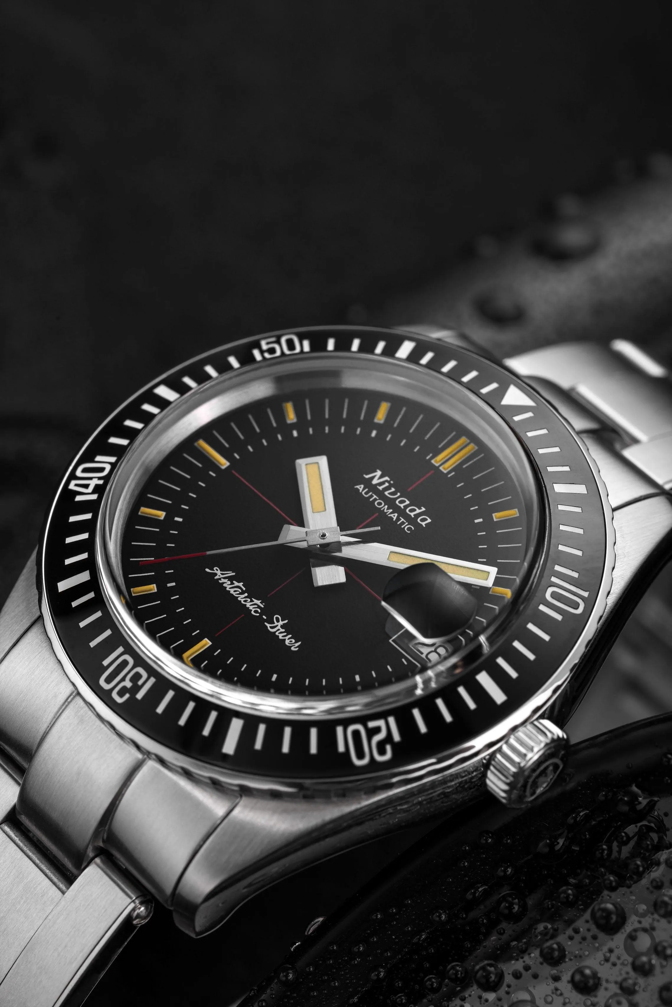 Antarctic Diver