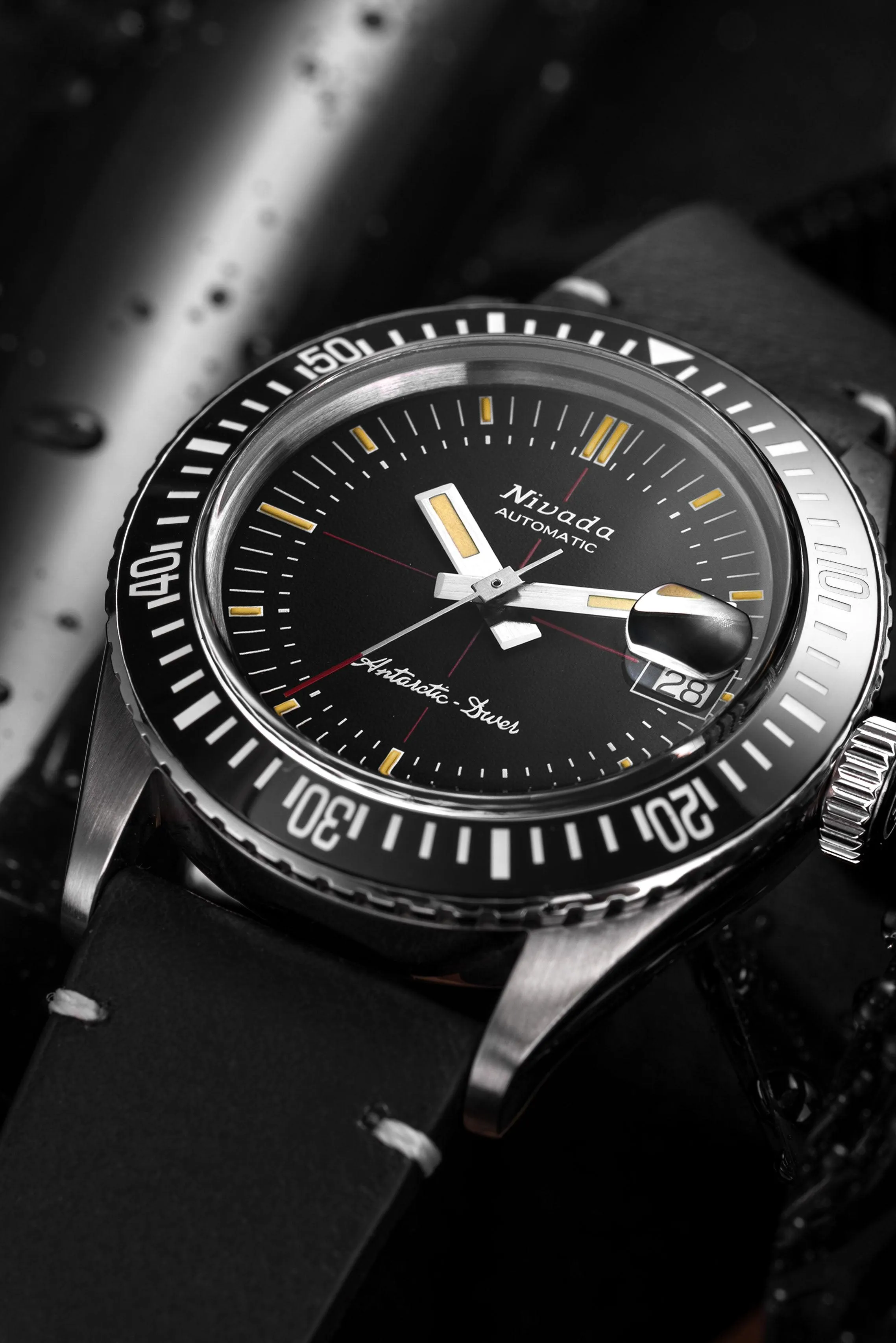 Antarctic Diver