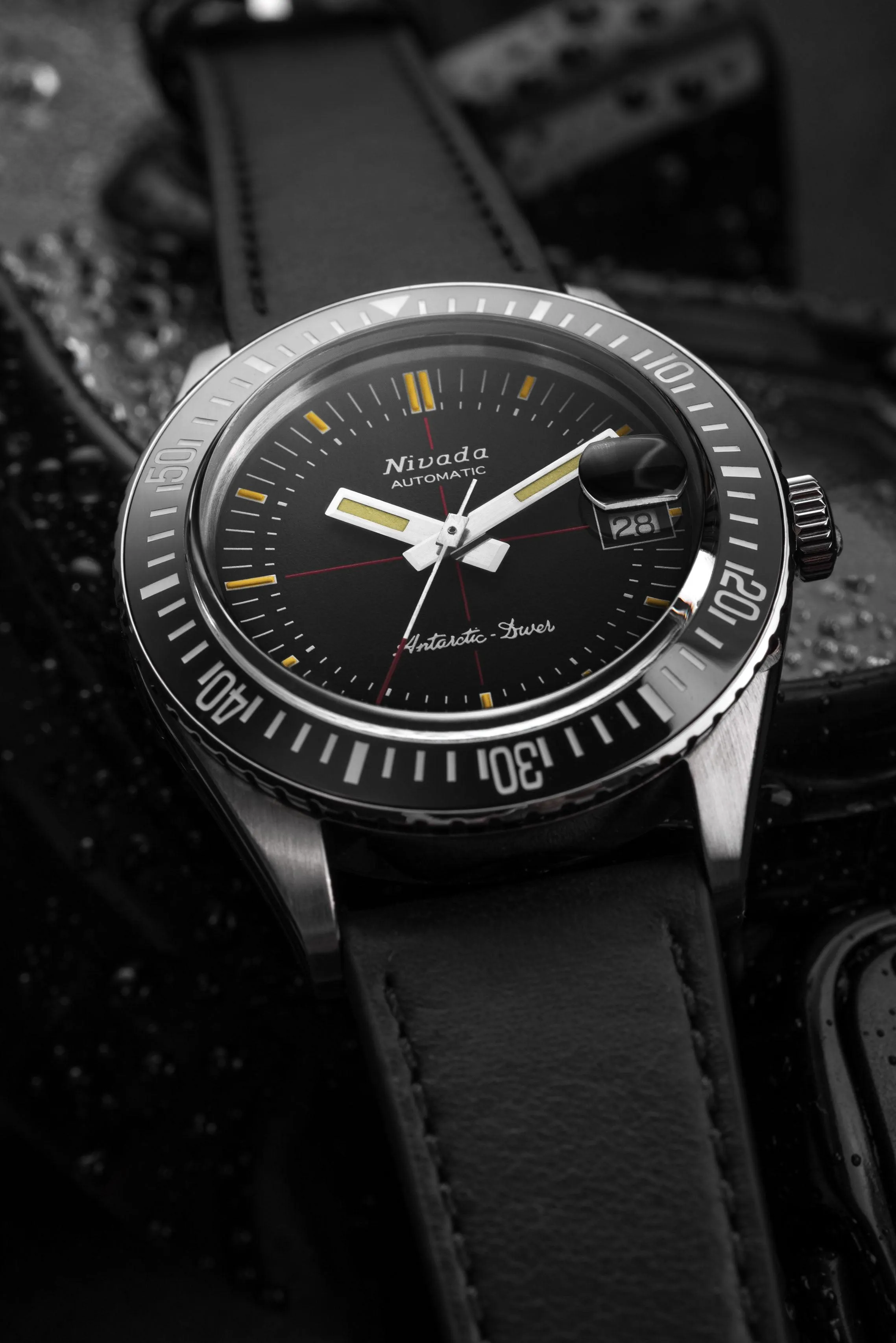 Antarctic Diver
