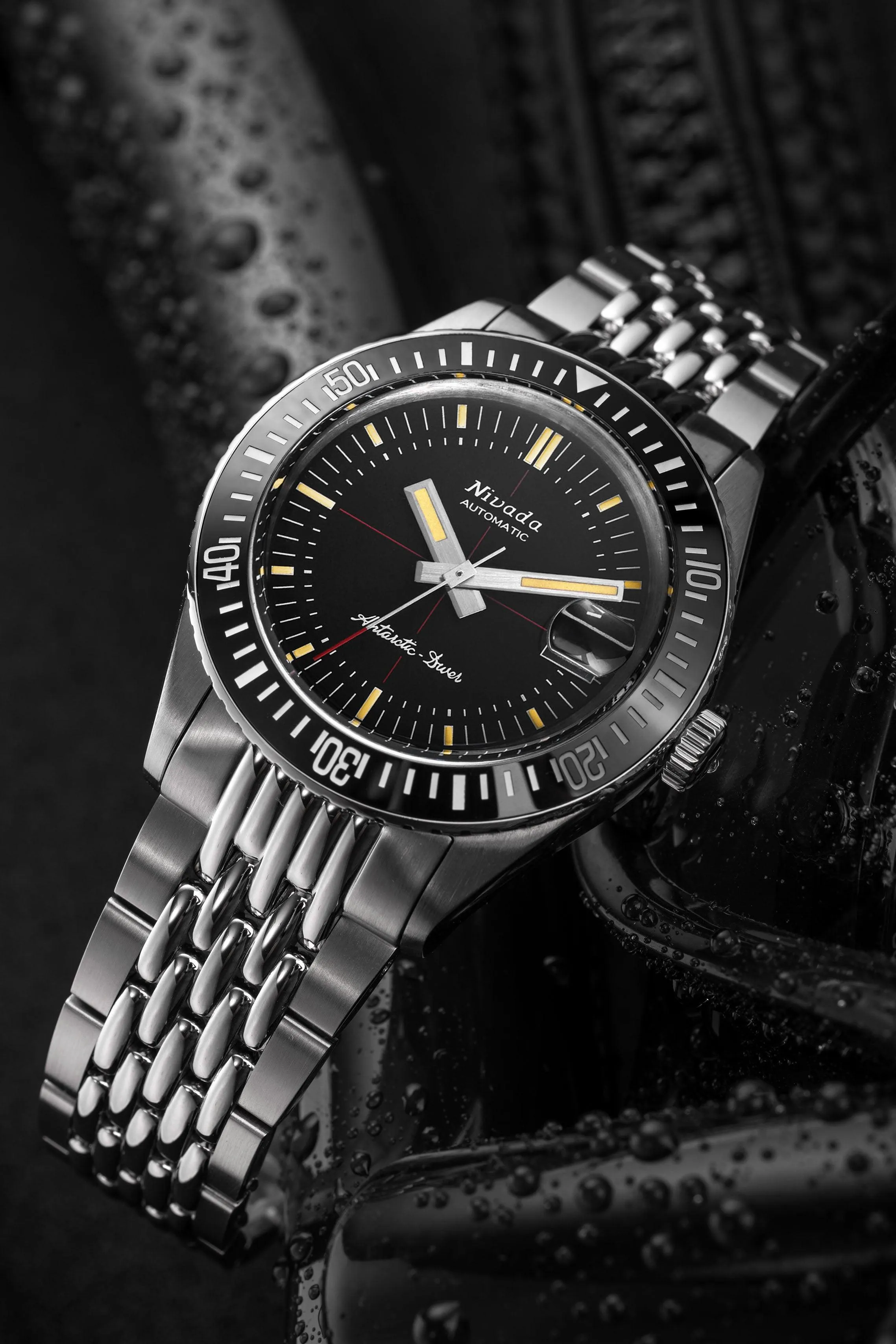 Antarctic Diver