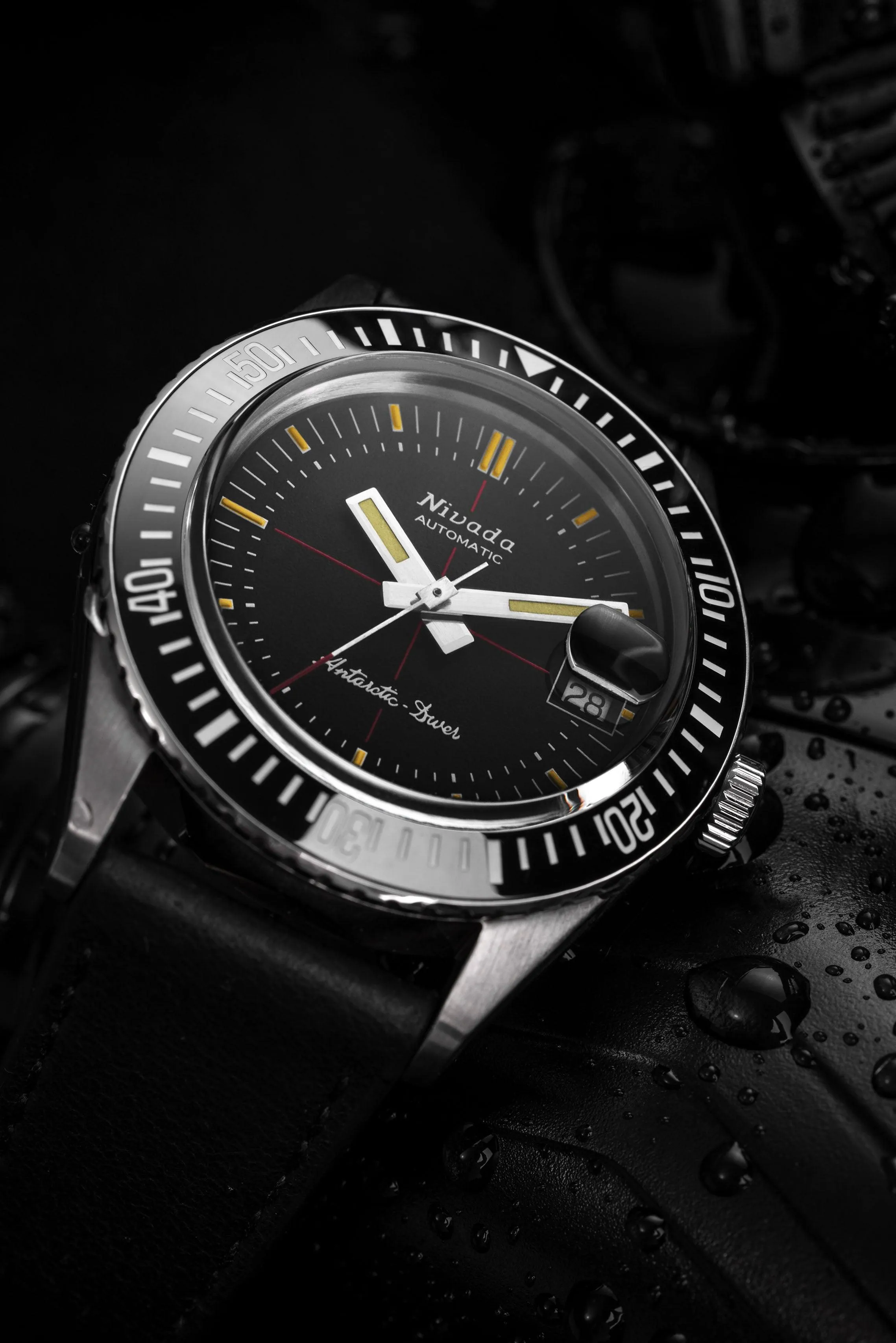 Antarctic Diver