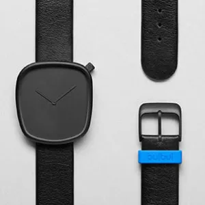 bulbul  watches