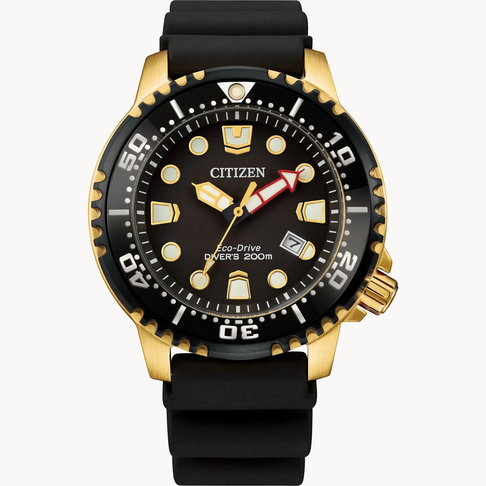 Citizen Promaster Dive Eco Drive: Black