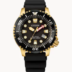 Citizen Promaster Dive Eco Drive: Black