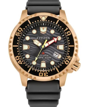 Citizen Promaster Dive Eco-Drive Men's Watch BN0163-00H