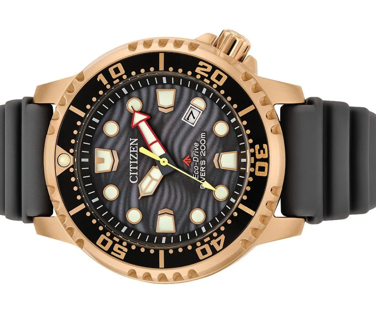Citizen Promaster Dive Eco-Drive Men's Watch BN0163-00H