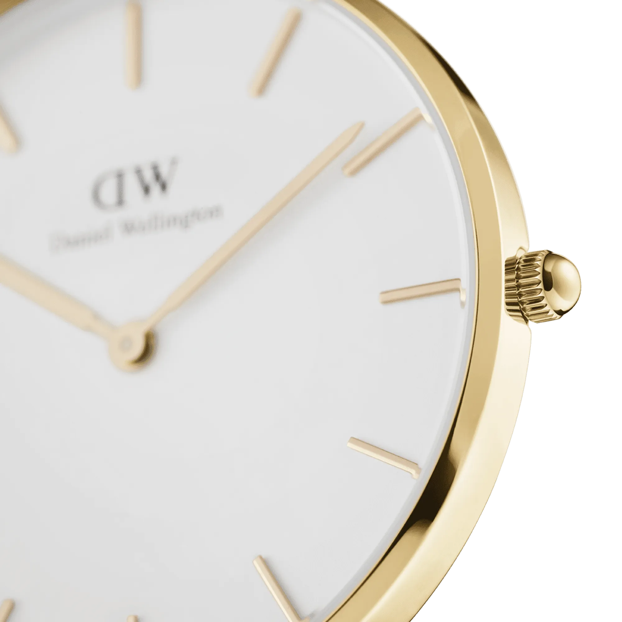 Daniel Wellington Petite 36 Evergold Gold & White Watch
