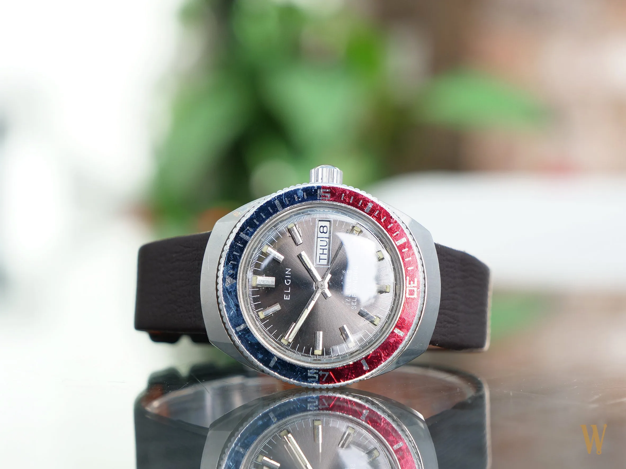 Elgin Vintage "Pepsi" Dive Watch