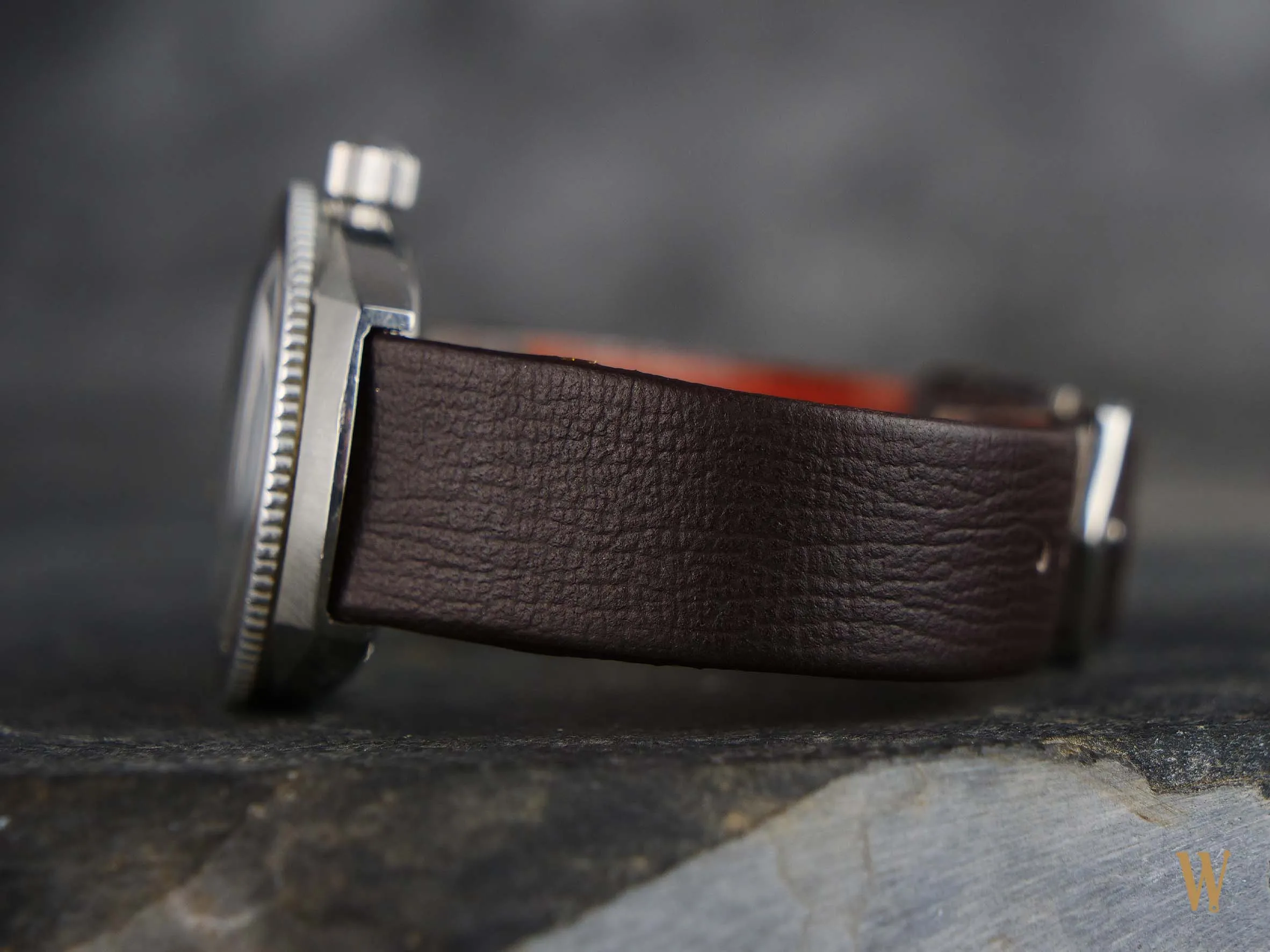 Elgin Vintage "Pepsi" Dive Watch