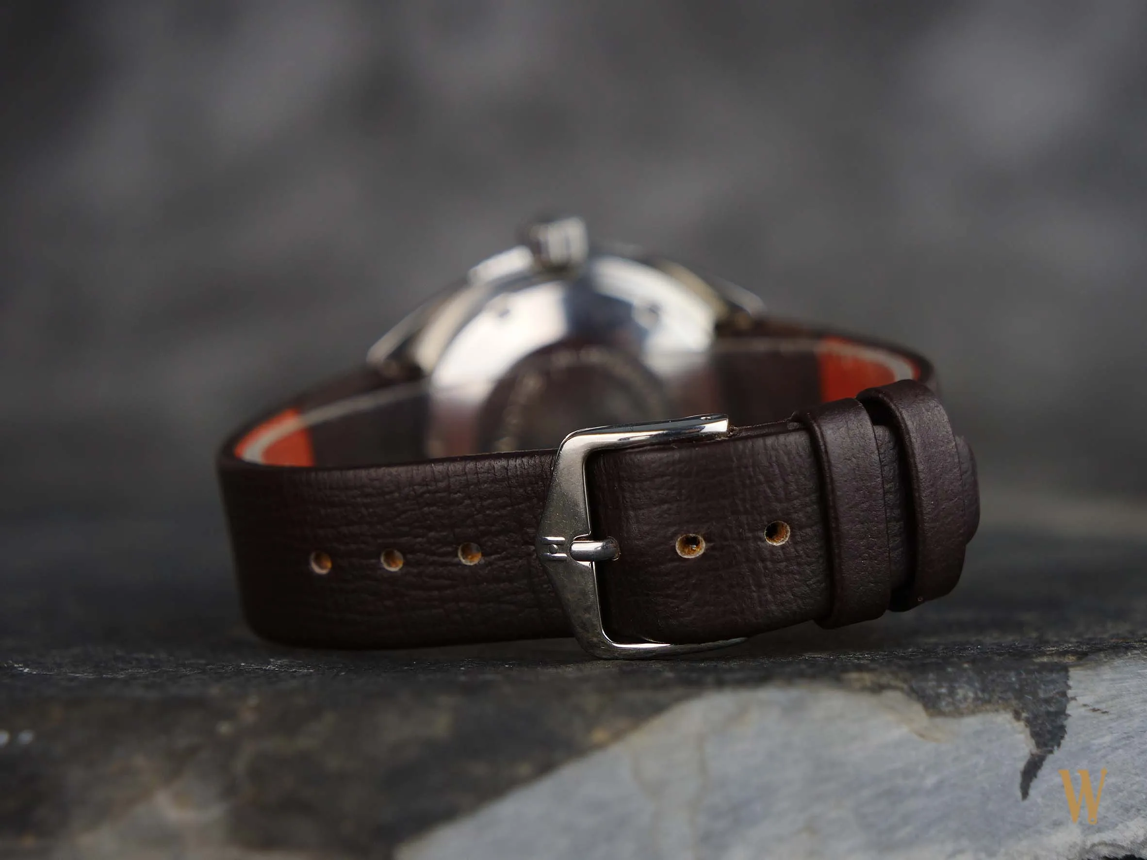 Elgin Vintage "Pepsi" Dive Watch