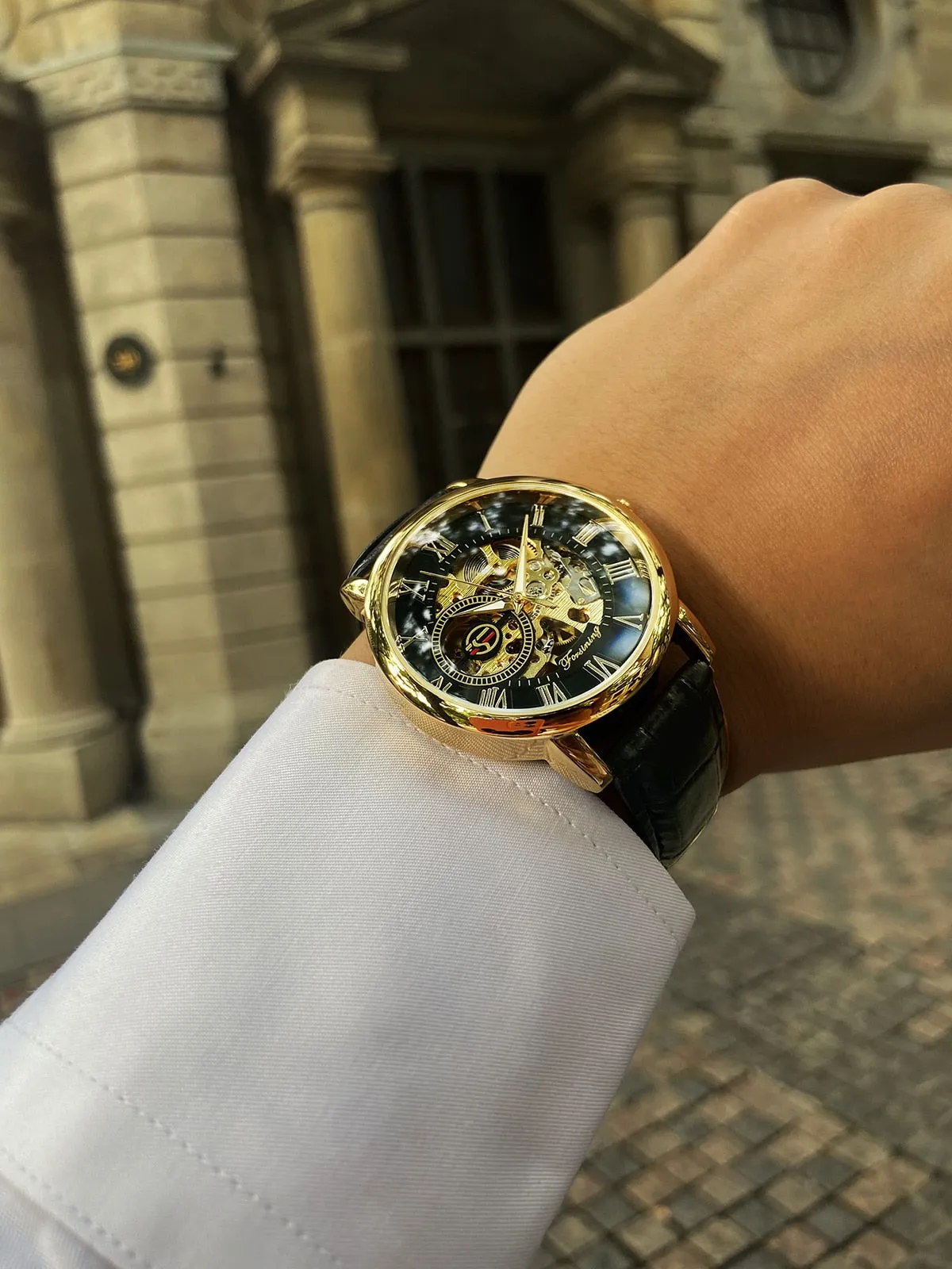 Mechanical Watches Men