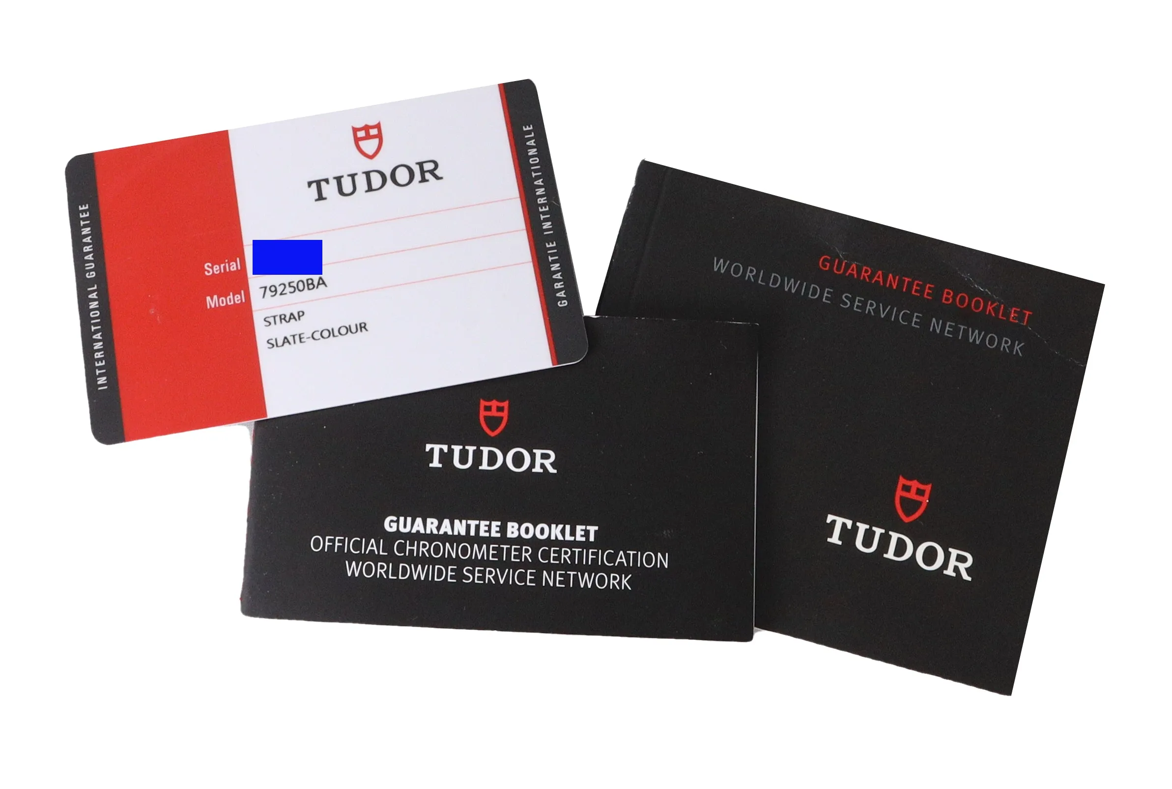 MINT 2019 Tudor Black Bay Heritage Bronze Slate 43mm Dive Leather Watch 79250 BA
