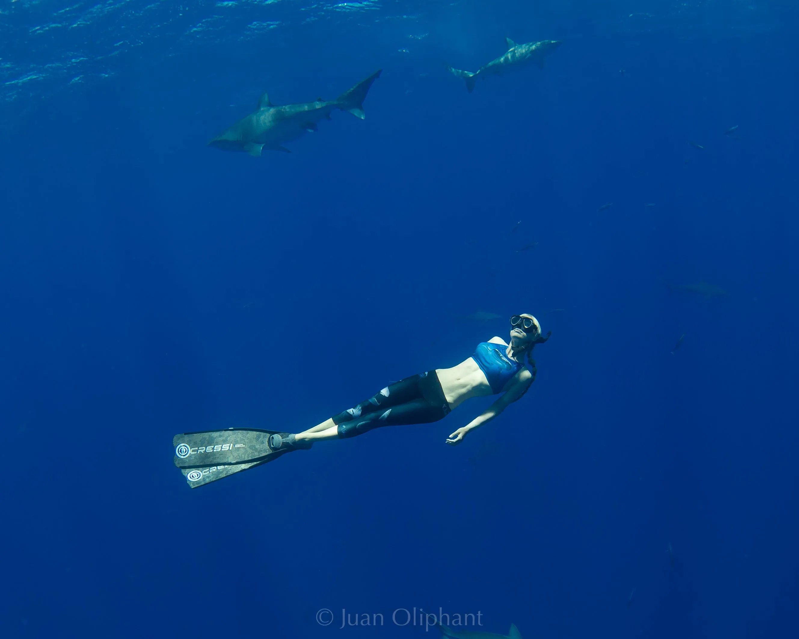 OCEAN RAMSEY SIGNATURE SHARK CLASSIC CLIP DEEP BLUE