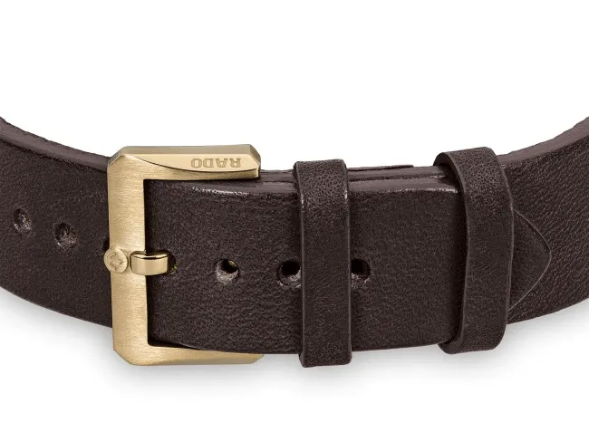 RADO Captain Cook Automatic Bronze 42mm Brown Dial Men's Watch R32504306