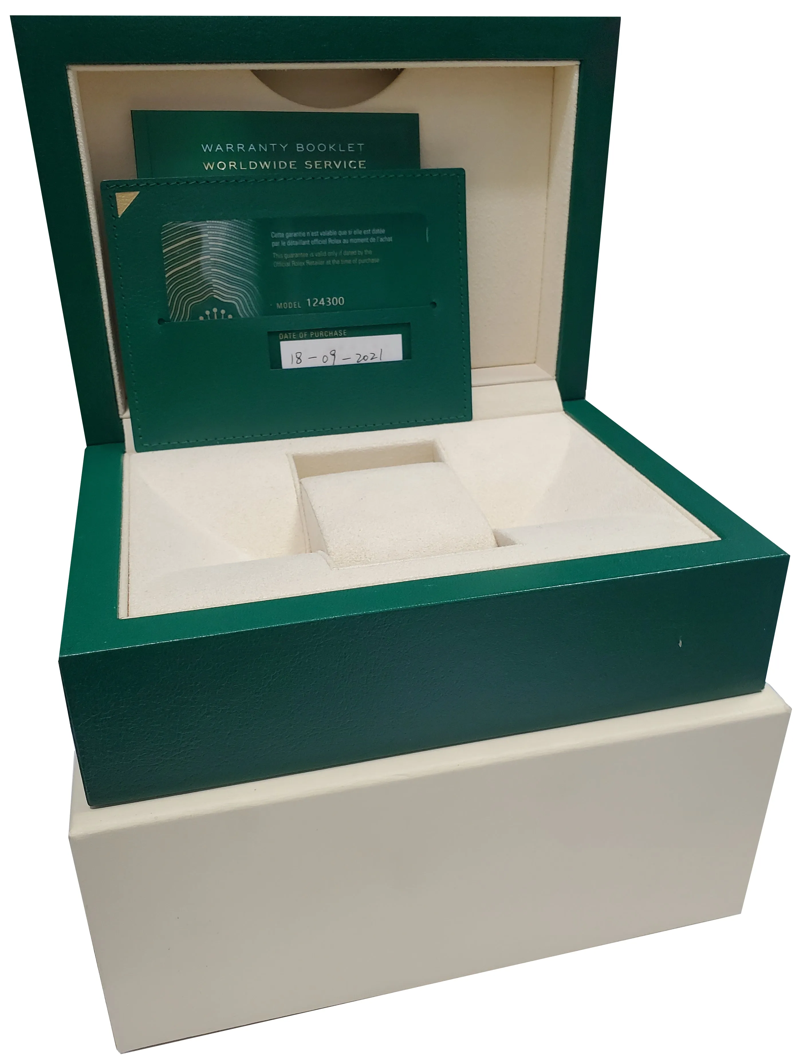 STICKERED NEW 2021 Rolex Oyster Perpetual 41mm SILVER GOLD Oyster Watch 124300