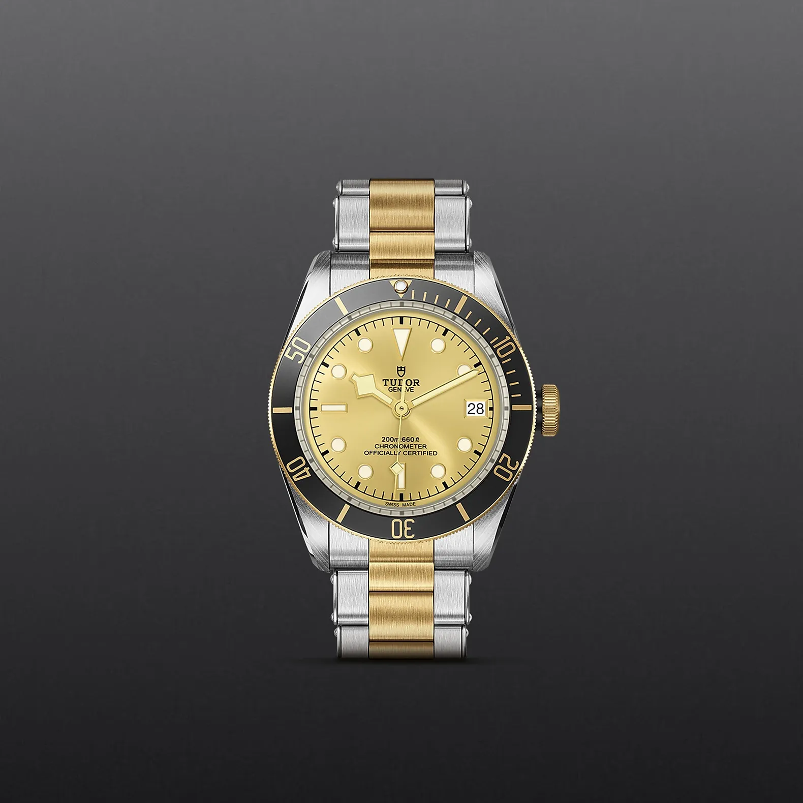 Tudor Black Bay S&G