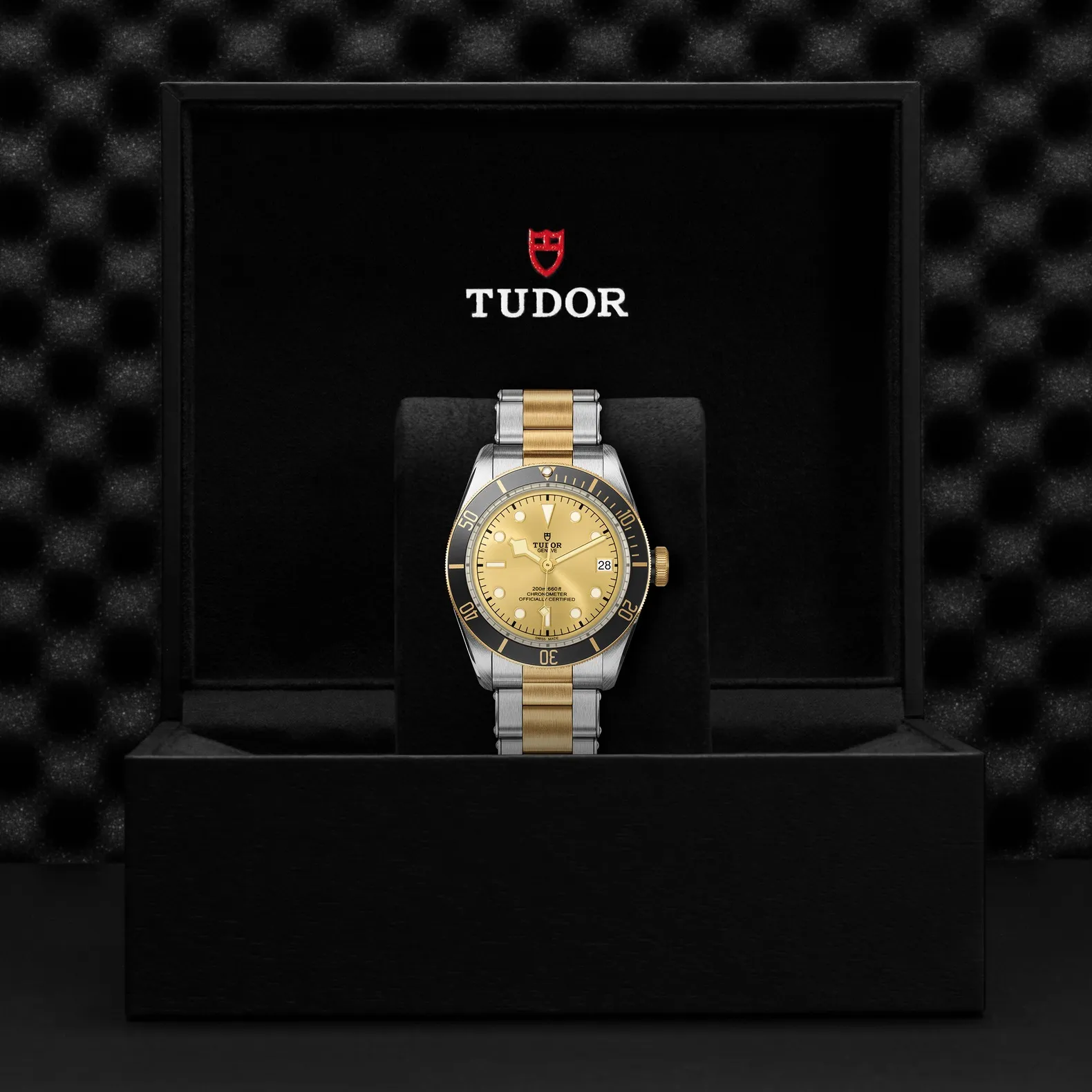 Tudor Black Bay S&G