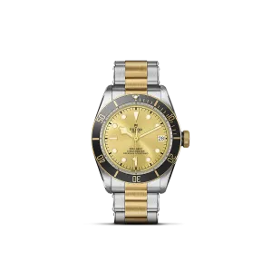 Tudor Black Bay S&G